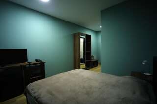 Отель Hotel AGUNA Кутаиси Двухместный номер с 1 кроватью-3